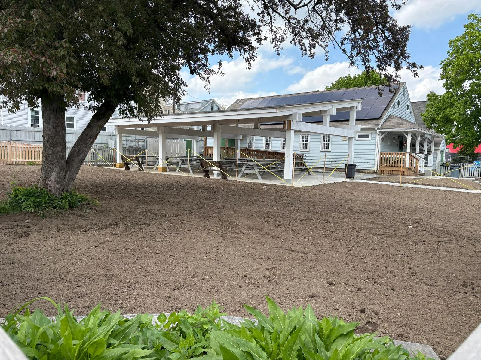 Landscaping project